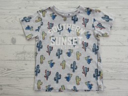 Kinder t-shirt lichtgrijs melange cactussen Southern Sunset maat 92