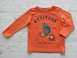 Name it longsleeve oranje groen schildpad Attitude NNMVux maat 86